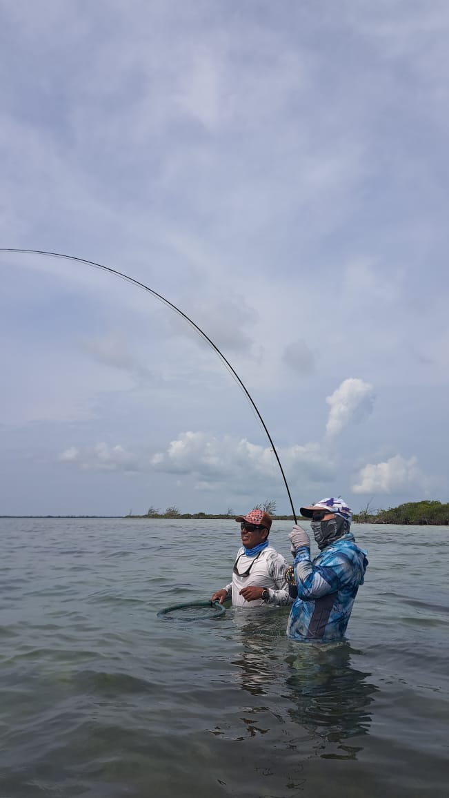 Fly Fishing in Xcalak. Bending the rod with Capitan Chepe